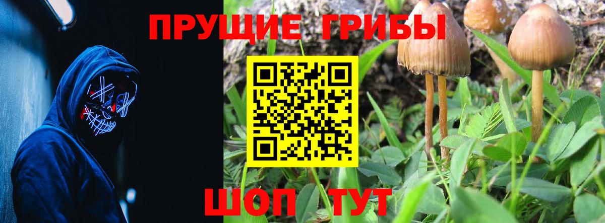 Галлюциногенные грибы мухоморы  Вход с VPN  Псилоцибиновые грибы MAGIC MUSHROOMS  Сочи 